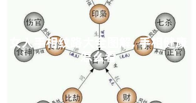女人手相纹路大全图解,手相健康怎么看